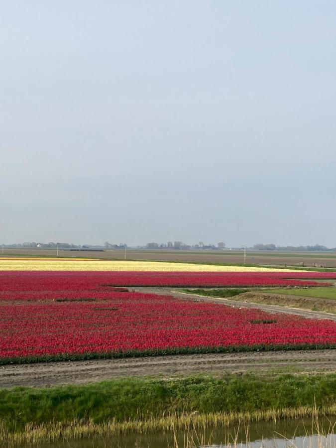 Vakantiehuis 'T Laaisterplakky Zonder Drempels Oude Bildtzijl Exterior foto