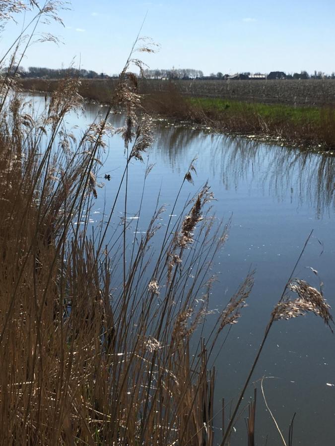 Vakantiehuis 'T Laaisterplakky Zonder Drempels Oude Bildtzijl Exterior foto